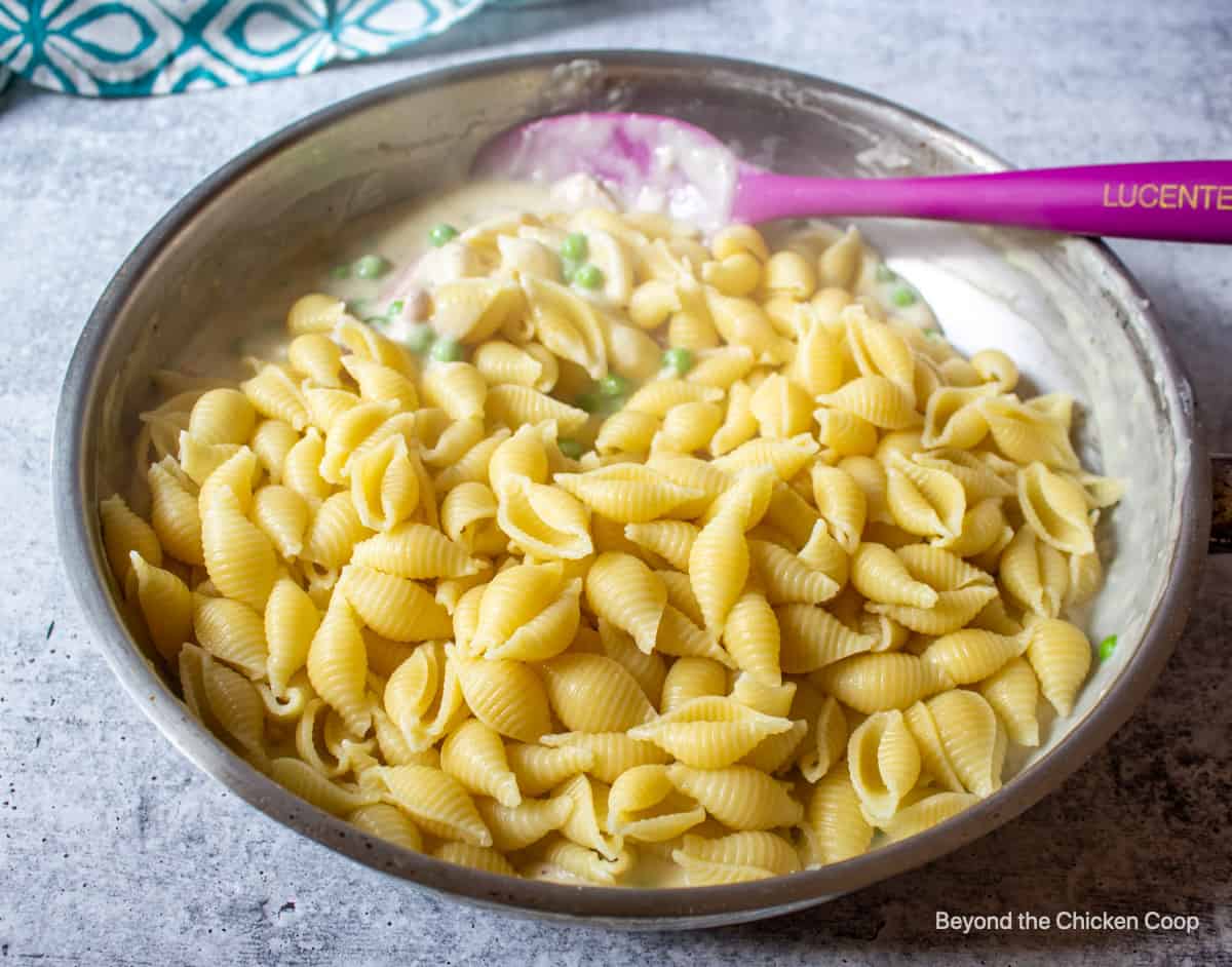 Pasta shells in a saucepan on top of a creamy sauce.