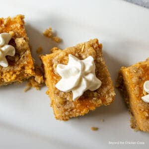 Pumpkin bars topped with a dollop of whipped cream.