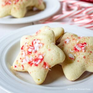 Star shaped cookies topped with peppemint candies.