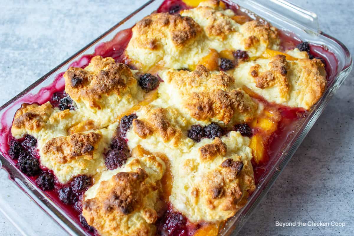 Blackberry peach cobbler topped with rustic biscuits.