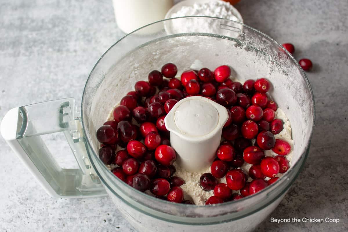 Cranberries in a food processor.