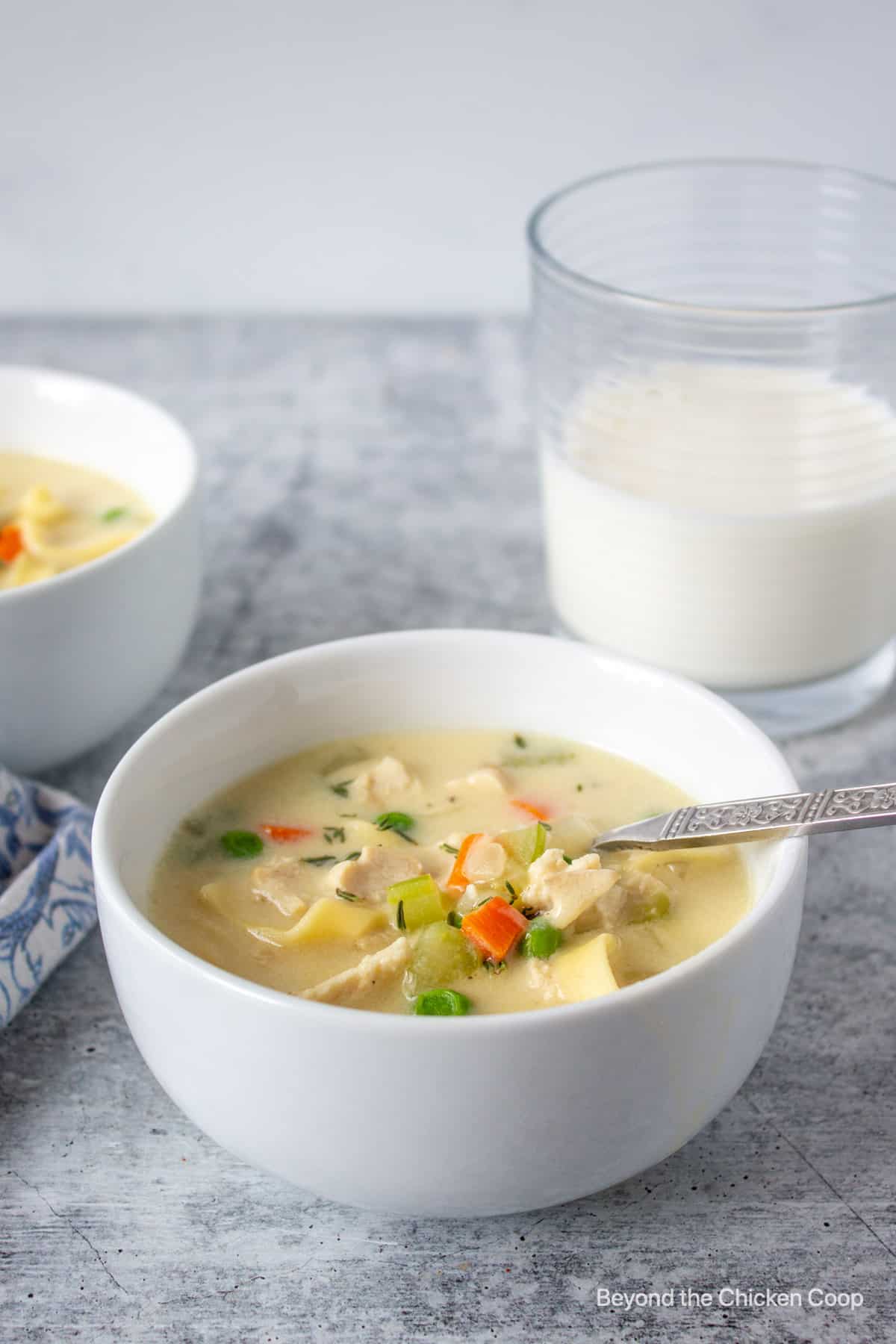 Creamy chicken soup with noodles.