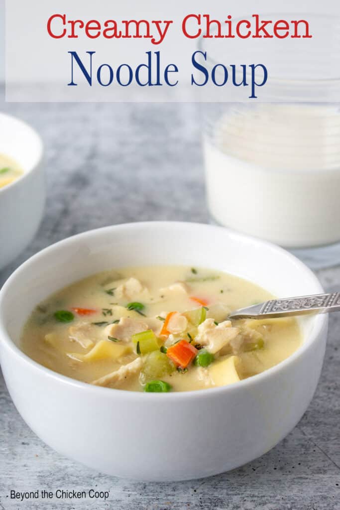 A bowl of soup with noodles and chicken.