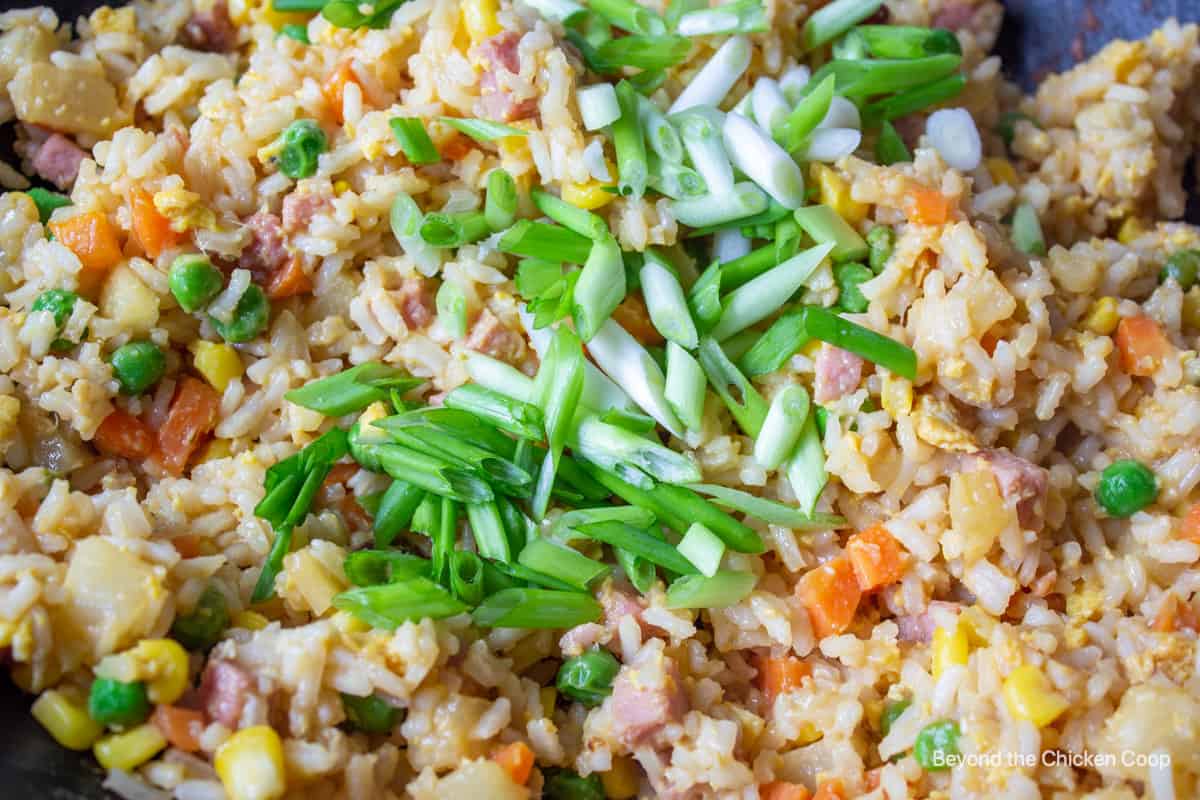 Green onions on top of fried rice.