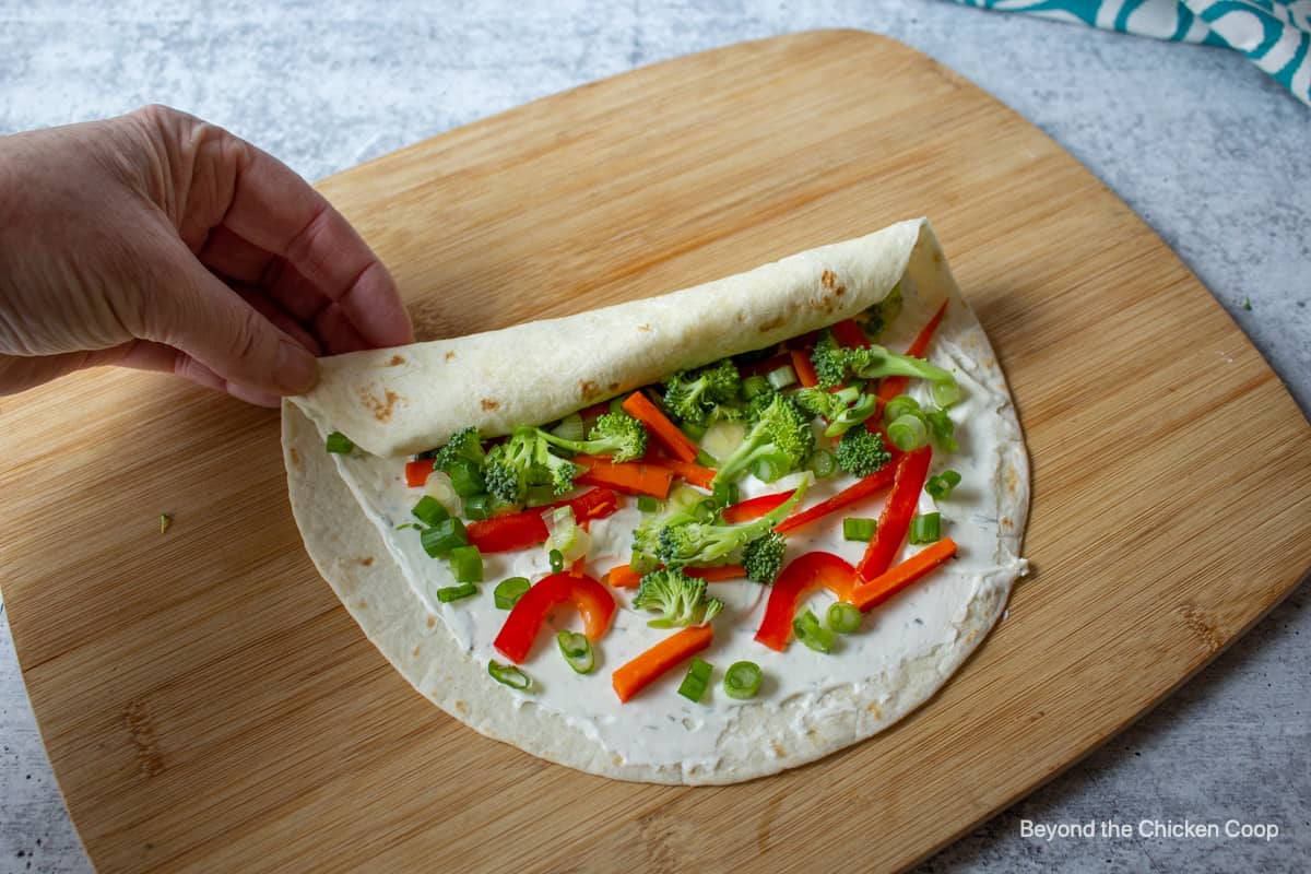 Veggies sprinkled on a tortilla. 