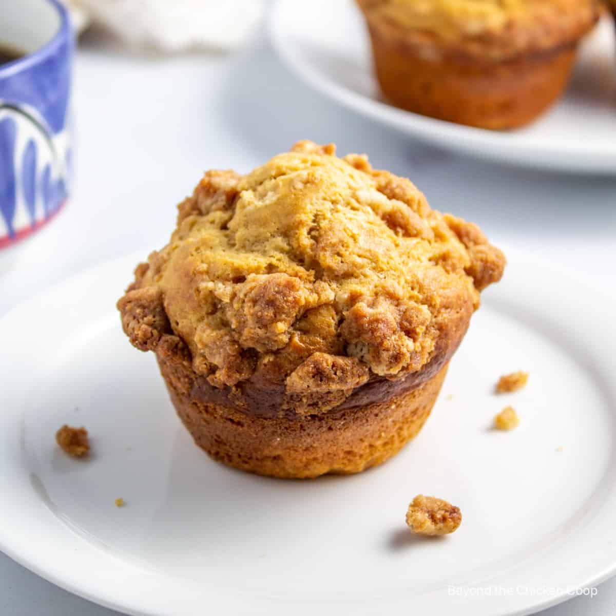 A coffee cake muffin on a plate.