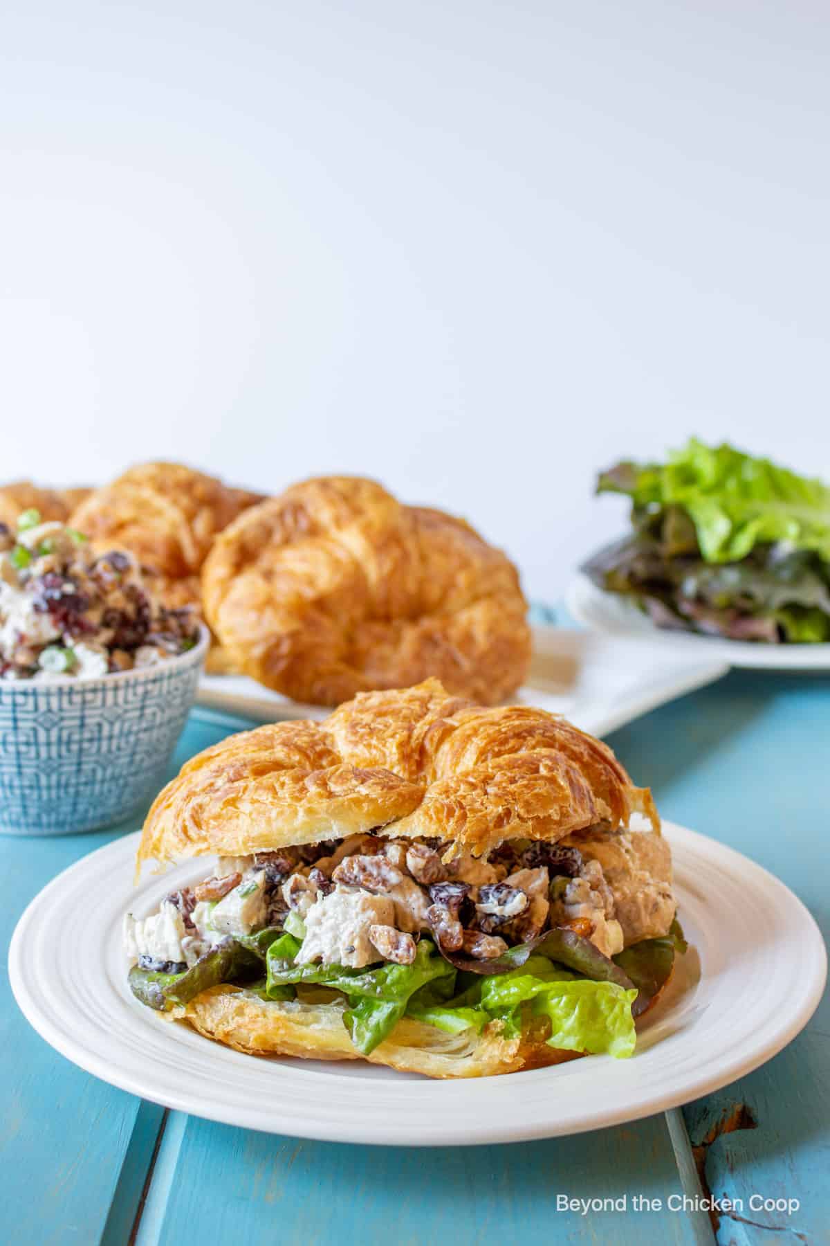 A chicken salad sandwich on a croissant.