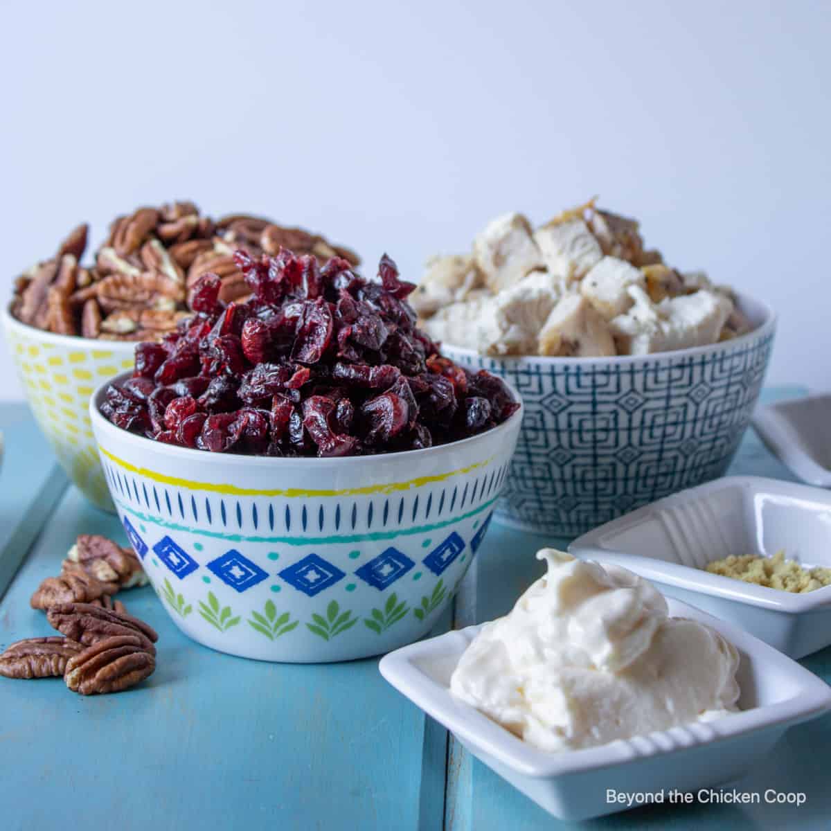 Bowls of chicken cranberries and pecans.