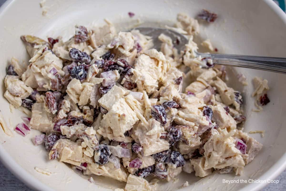 Chicken salad with cranberries.