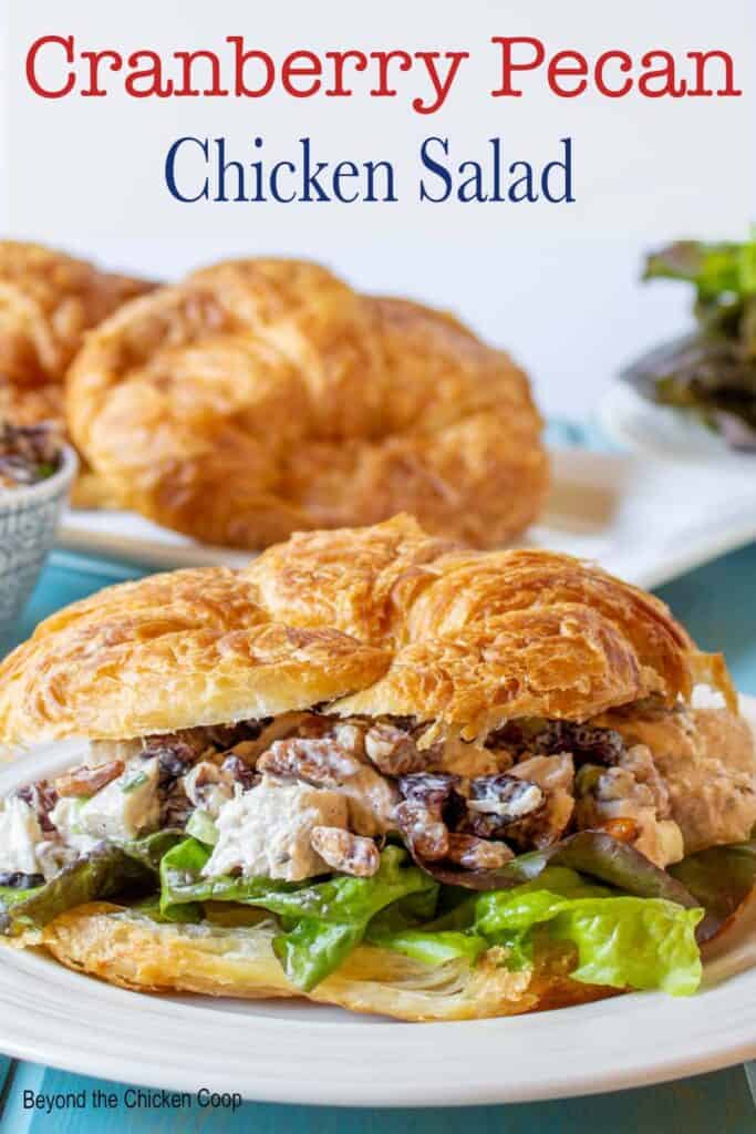 A croissant filled with chicken salad.