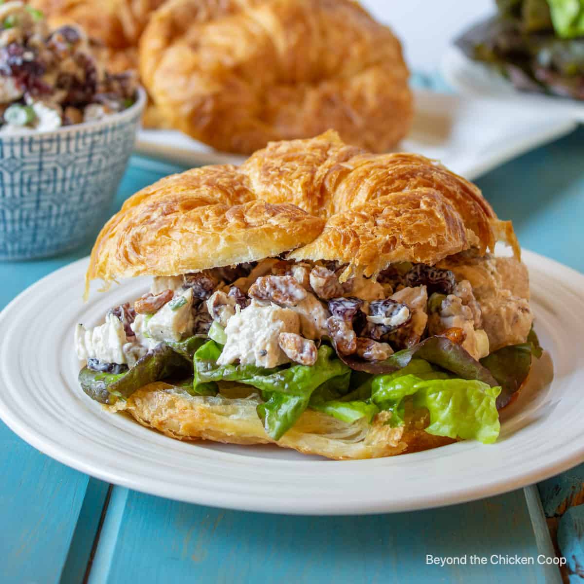 A croissant filled with cranberry pecan chicken salad.