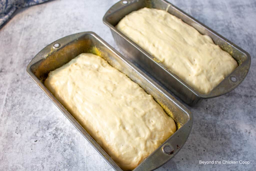 Risen dough in bread pans.