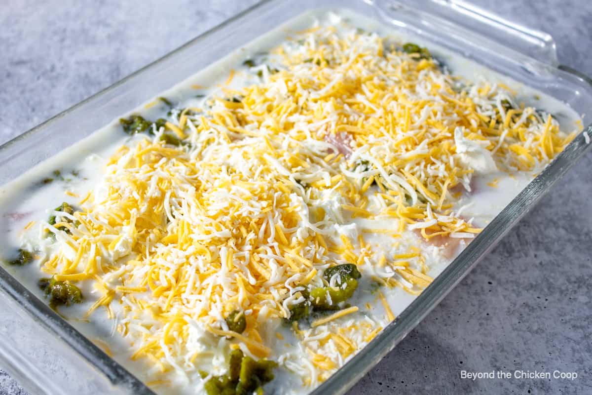 Shredded cheese on top of an unbaked casserole.