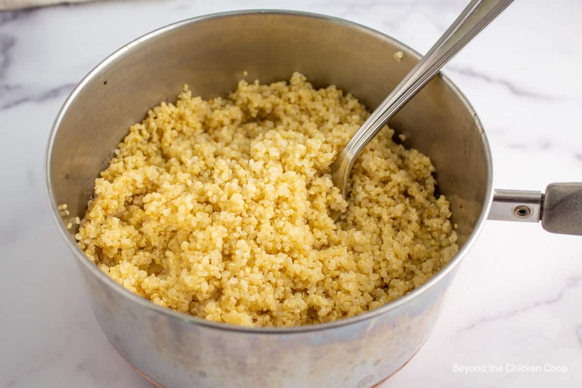 Cooked quinoa in a saucepan.