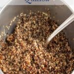 Cooked quinoa in a pot.