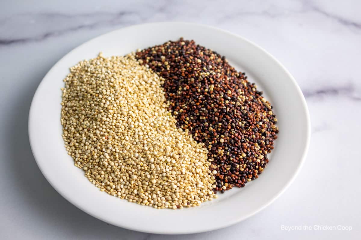 White quinoa and tri colored quinoa.