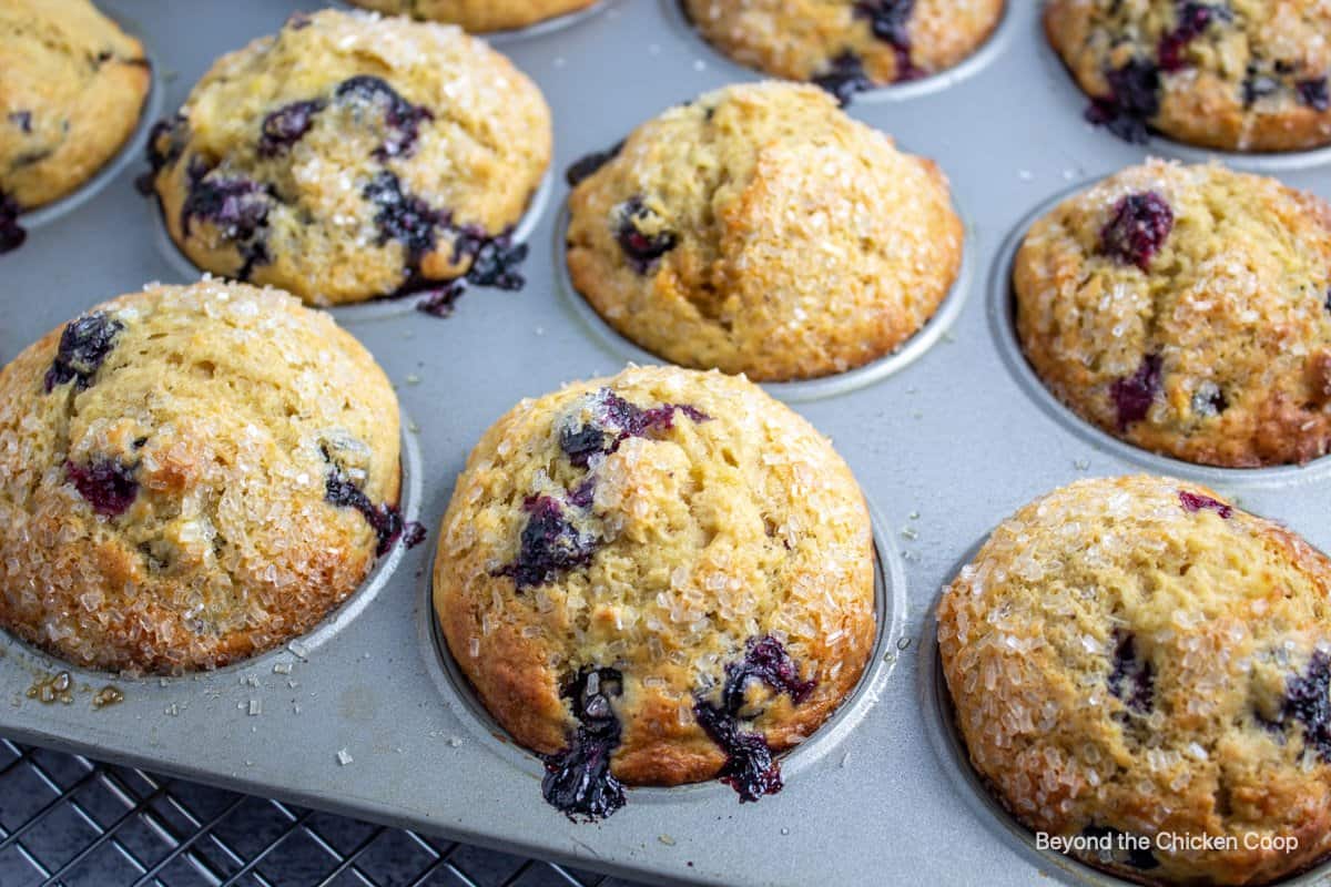 Baked blueberry muffins.
