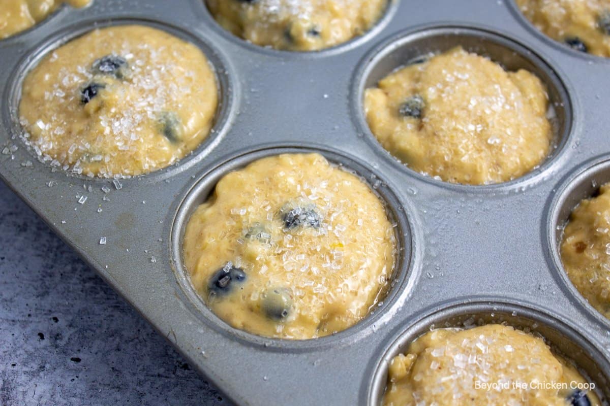 Muffin batter in a muffin tin.