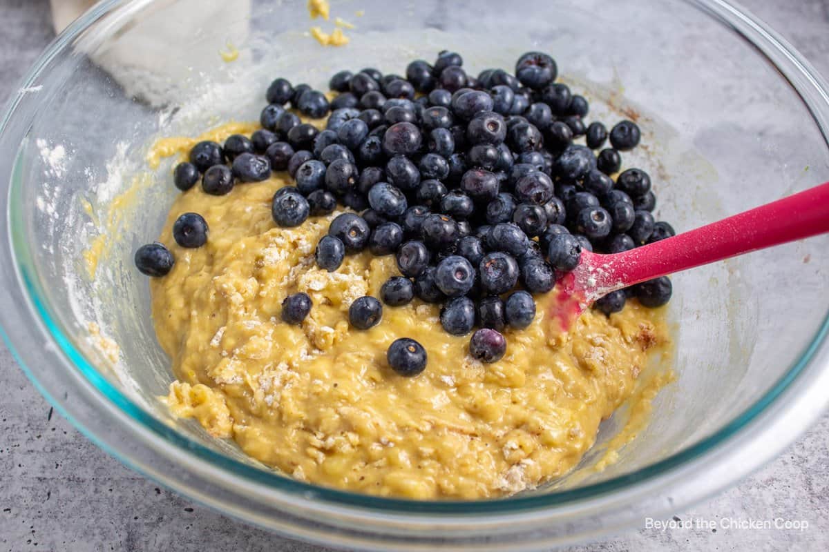 Fresh blueberries on muffin batter.