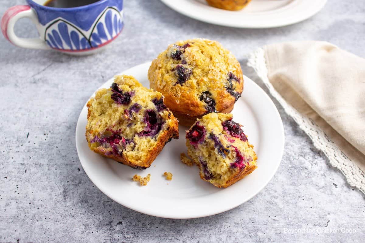 Blueberry muffins on a small plate.