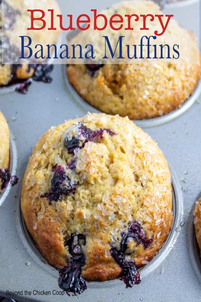 A muffin with blueberries in a muffin tin.
