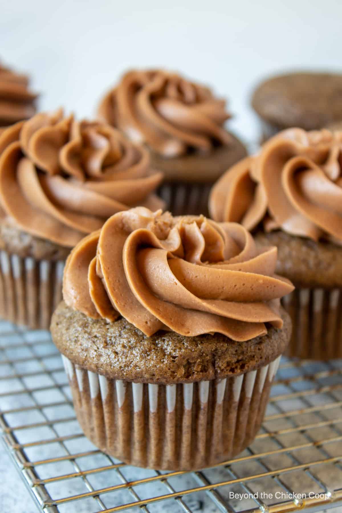 Chocolate cupcakes with chocolate frosting. 