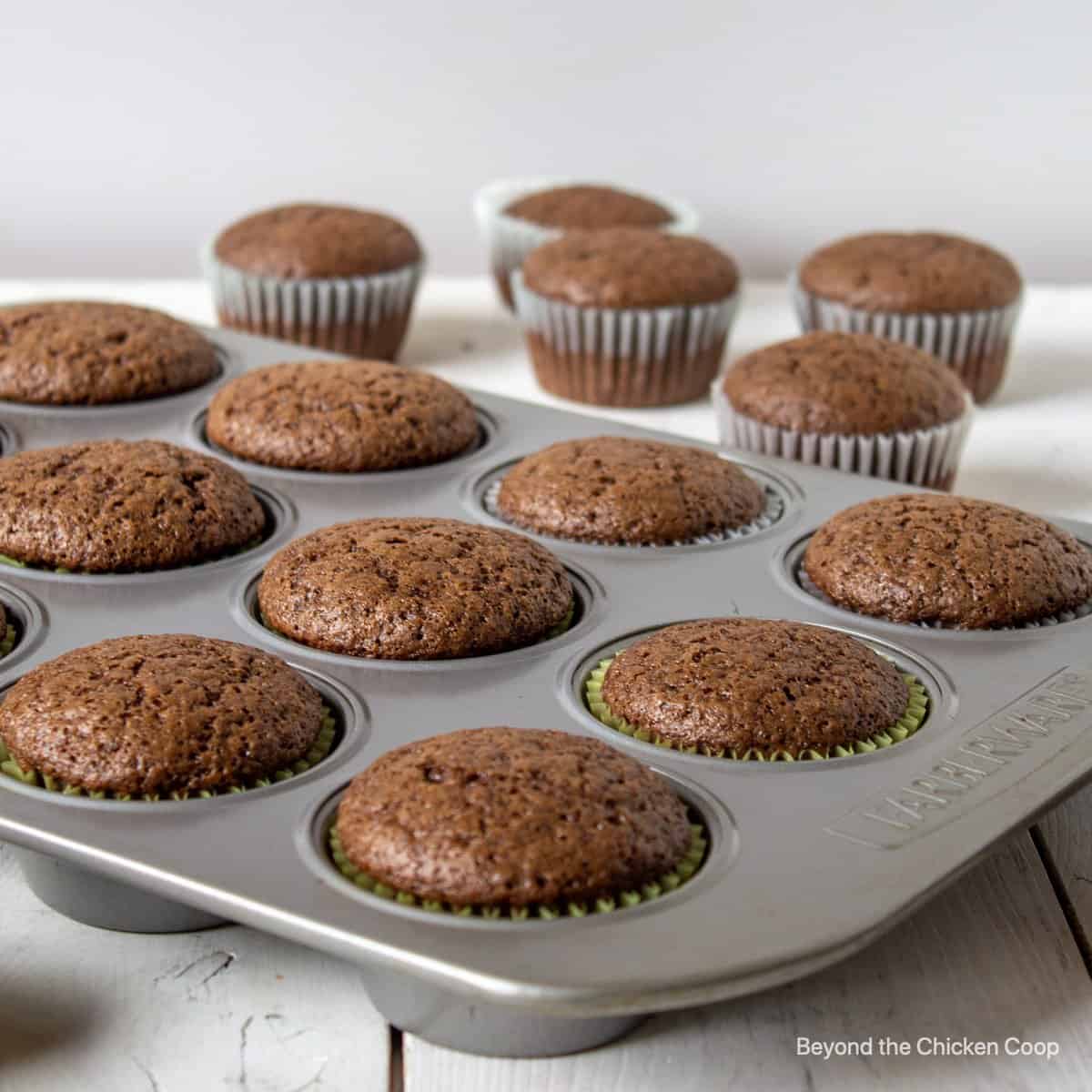 Chocolate cupcakes in a muffin tin. 