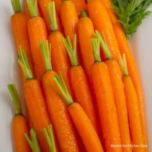 Carrots with green tops on a platter.