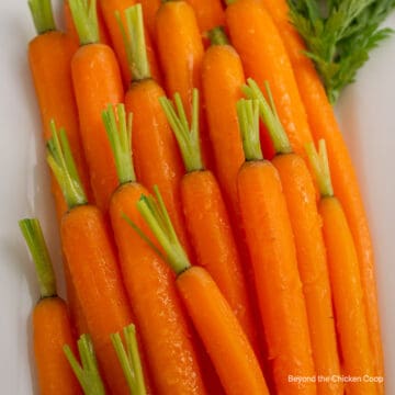 Carrots with green tops on a platter.