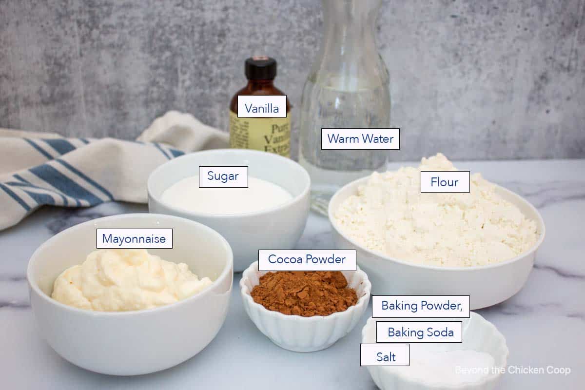 Ingredients for making a chocolate cake. 