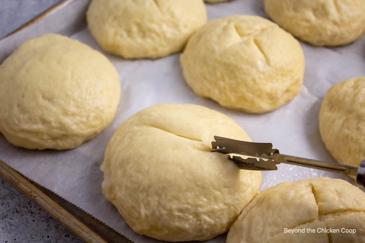 Slicing an X in pretzel rolls.