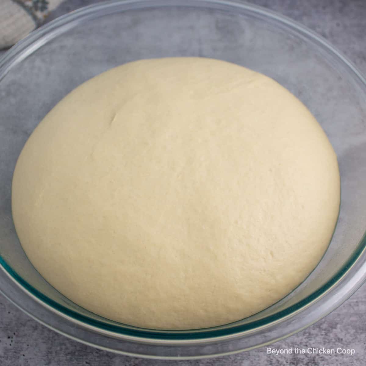 Risen dough in a bowl.