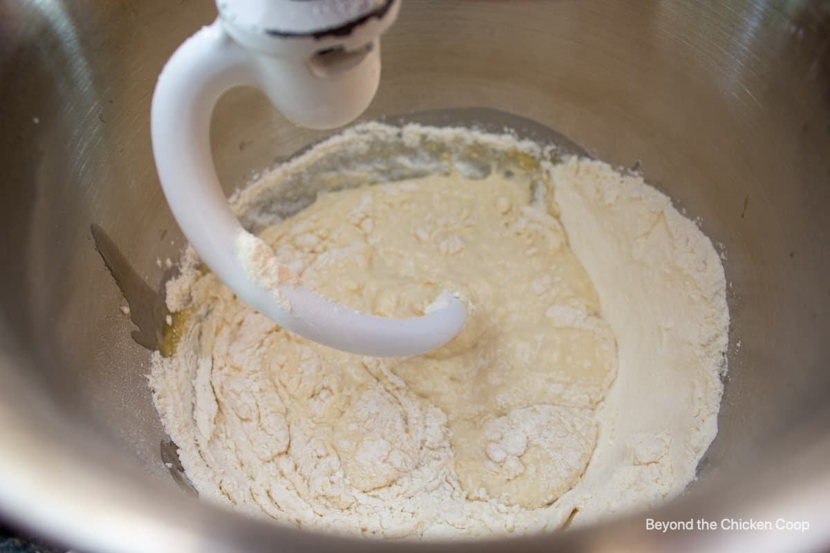 Bread dough in a mixing bowl. 