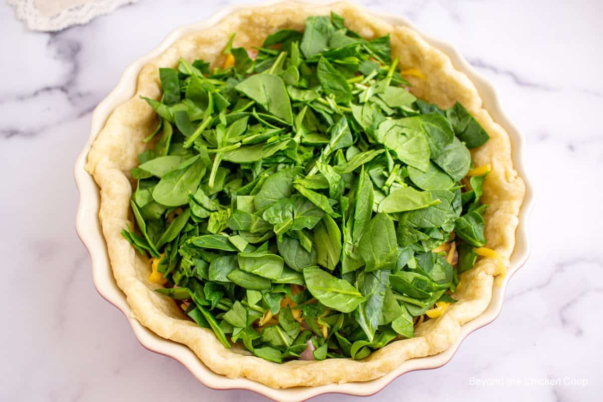 Spinach leaves in a pie crust. 