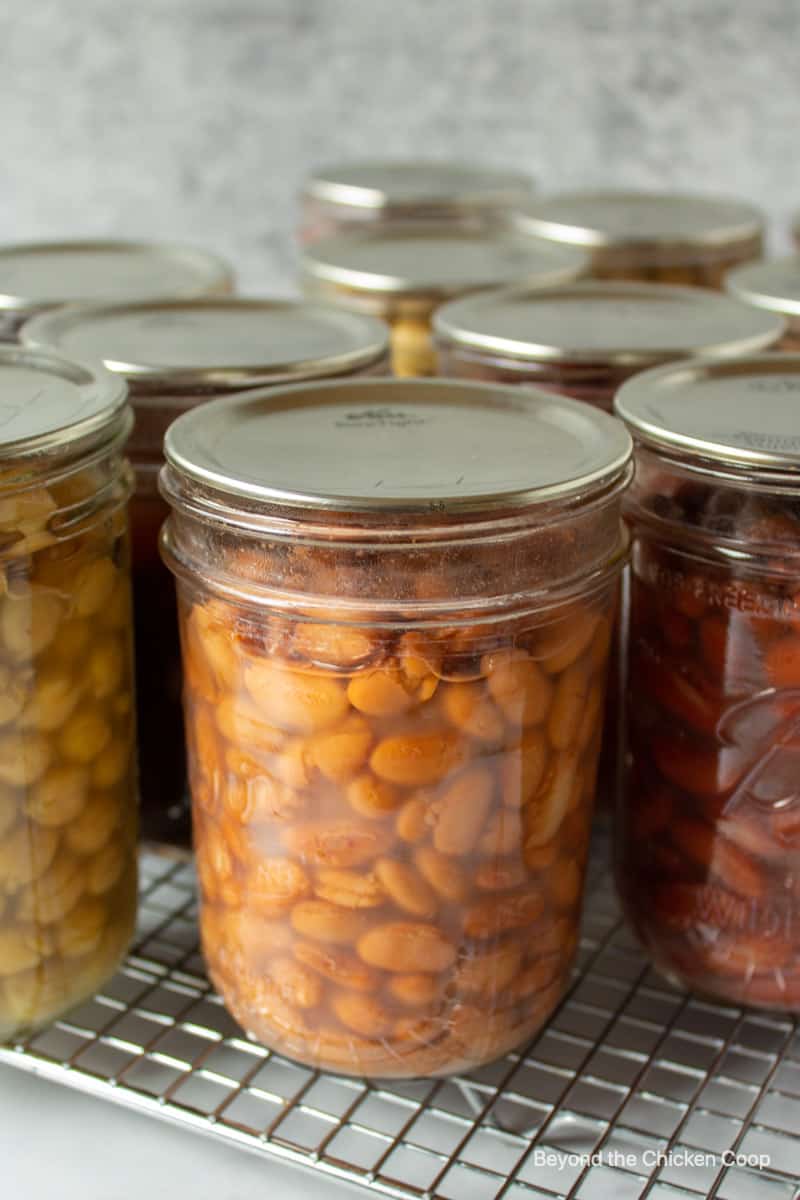 Canned beans in a canning jars.