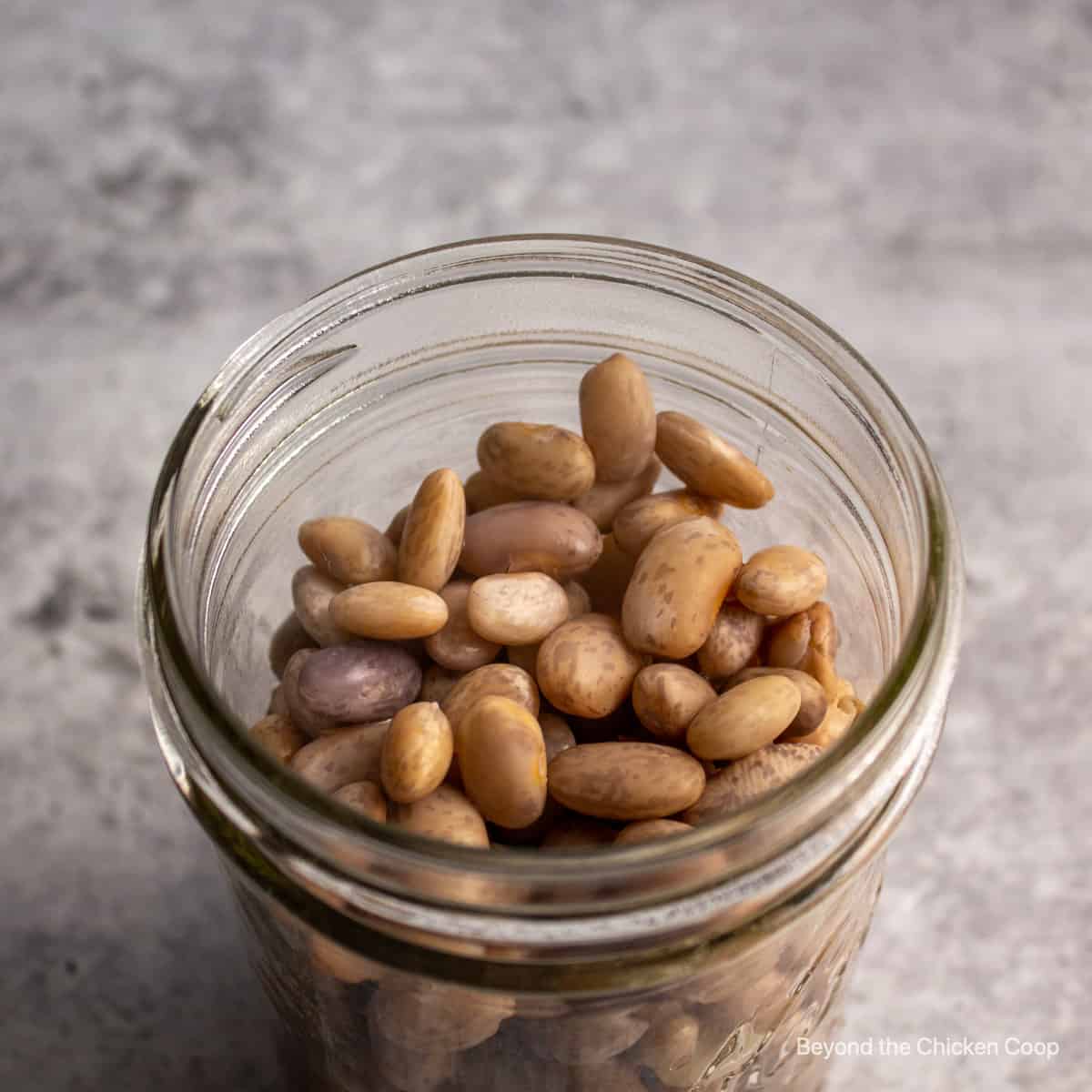 Partially cooked beans in a canning jar.