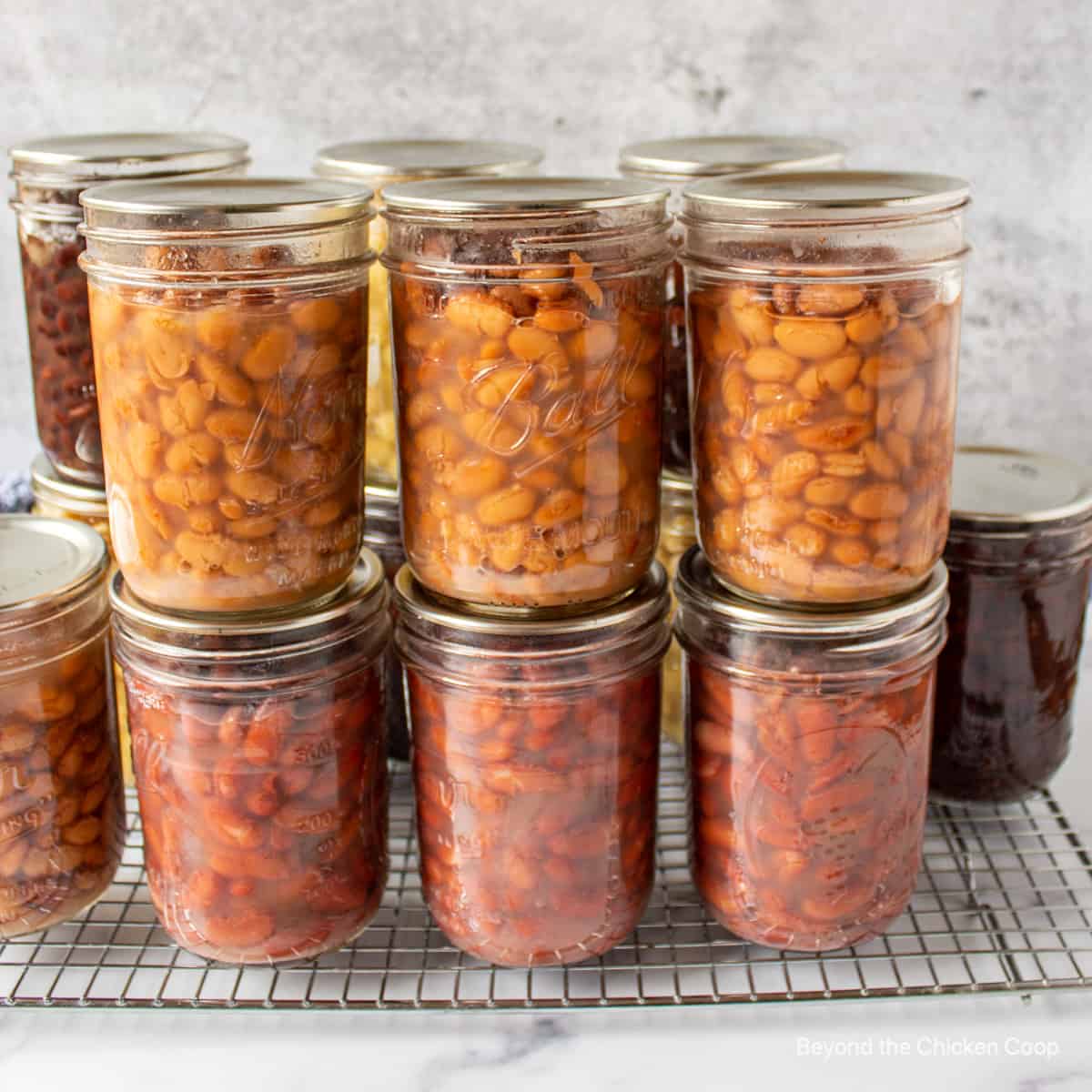 Canning jars filled with kidney and pinto beans.