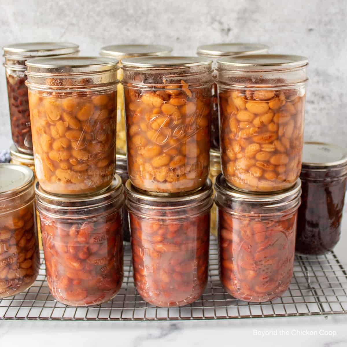 Canning beans in top instant pot