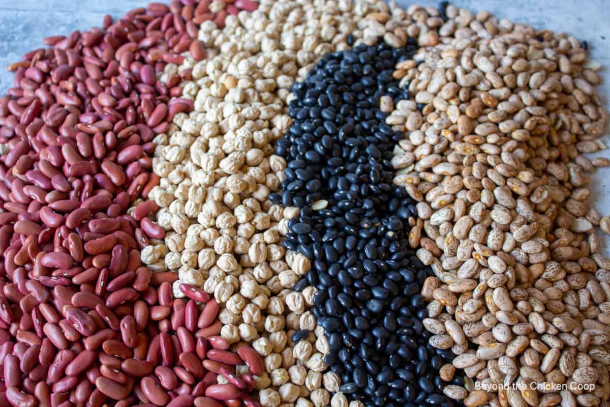 Four different types of dried beans.