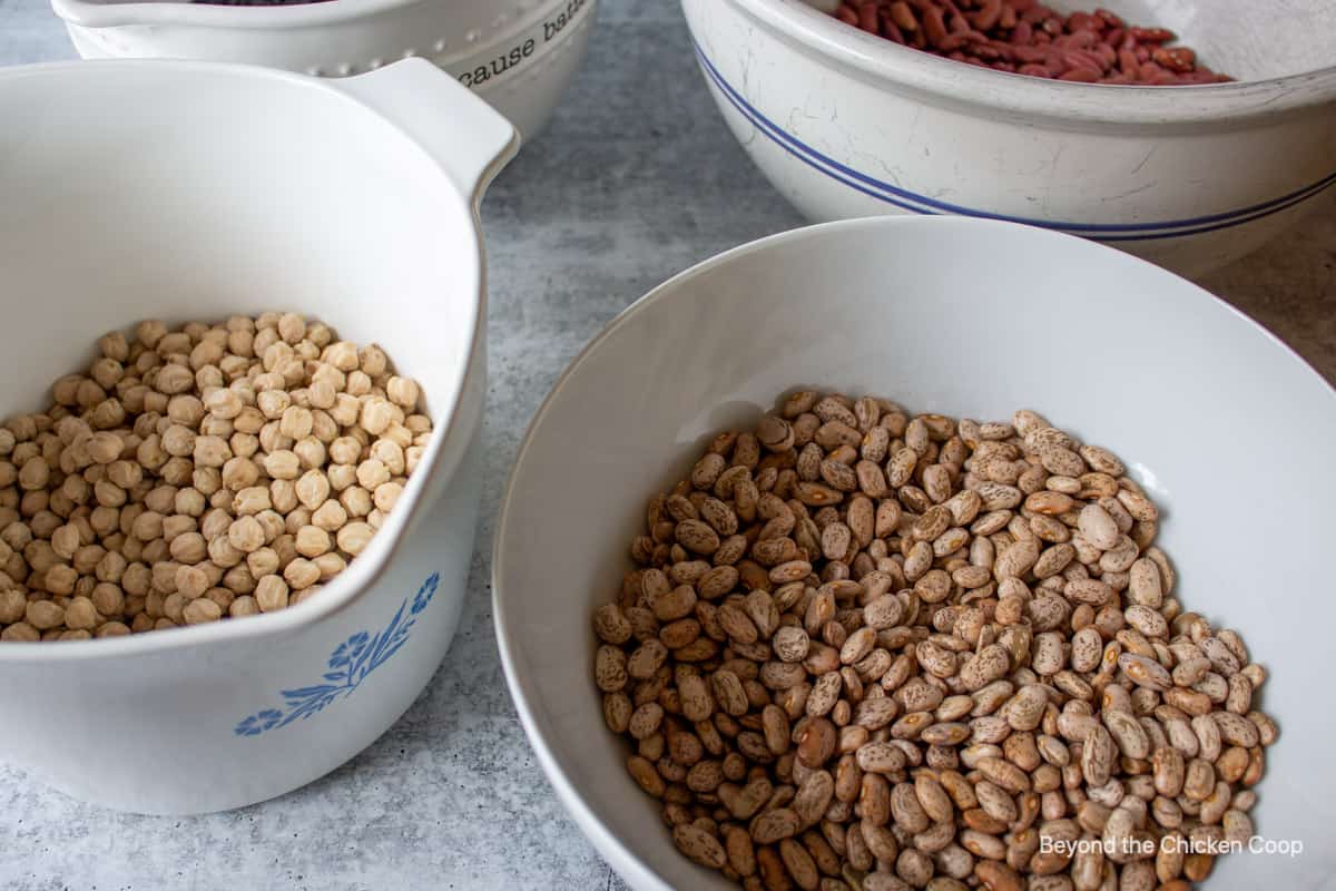 Different types of dried beans in bowls.