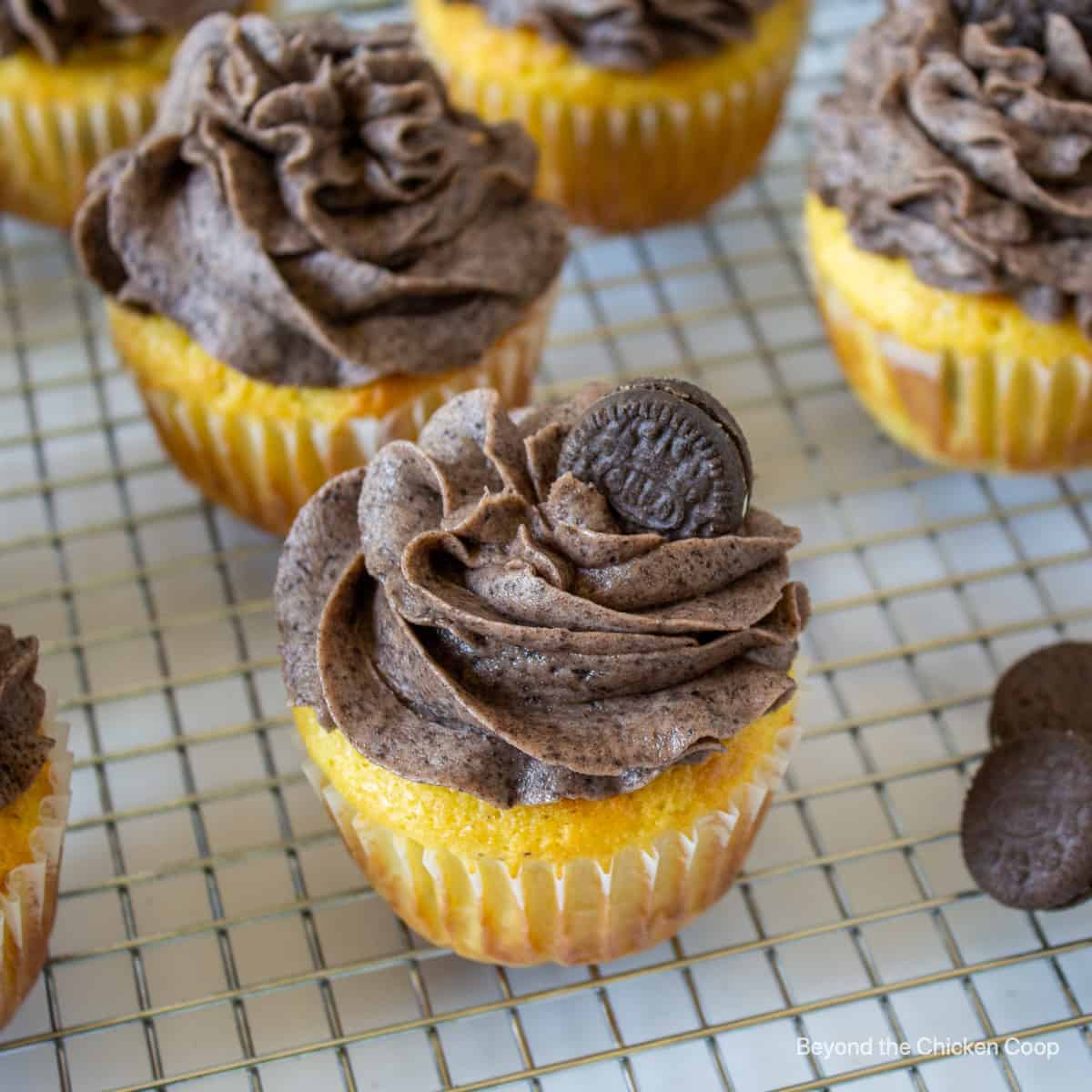 Cupcakes with chocolate frosting and a mini chocolate cookie. 