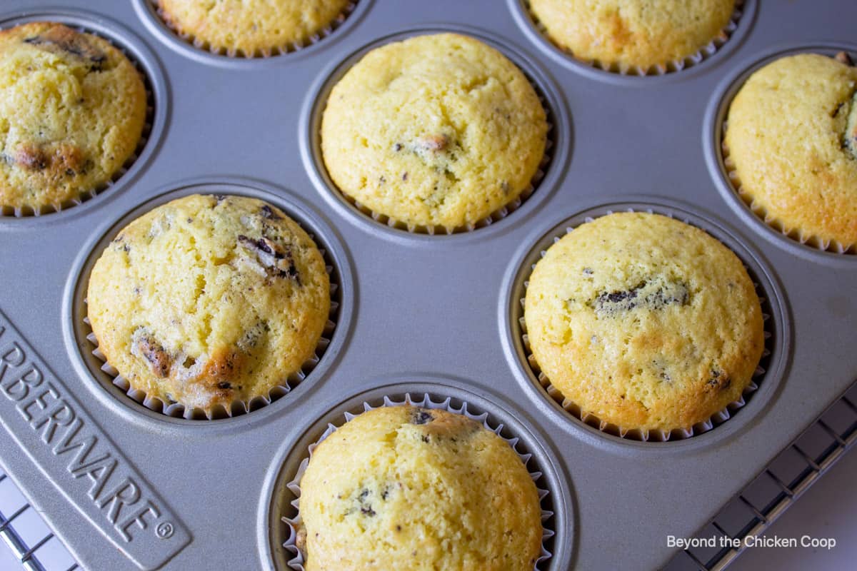 Baked cupcakes in cupcake tin.