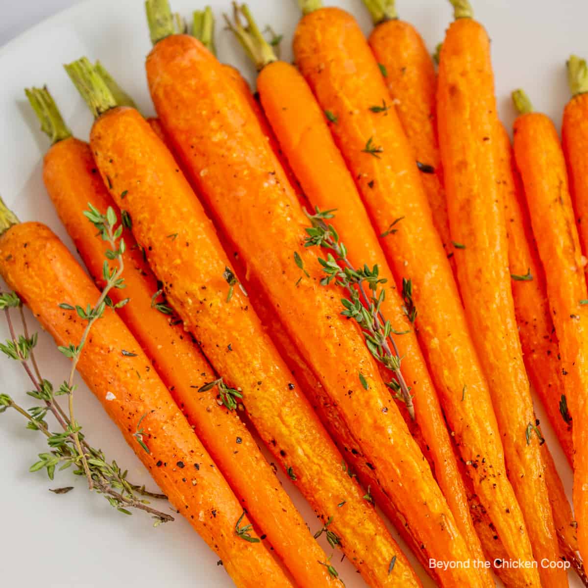 Baby carrots topped with fresh herbs.