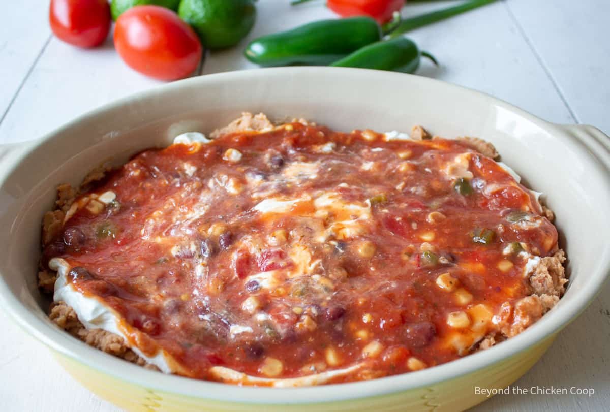 A layer of salsa in a dip.