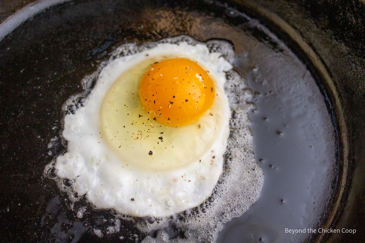 An egg frying in a cast iron skillet.