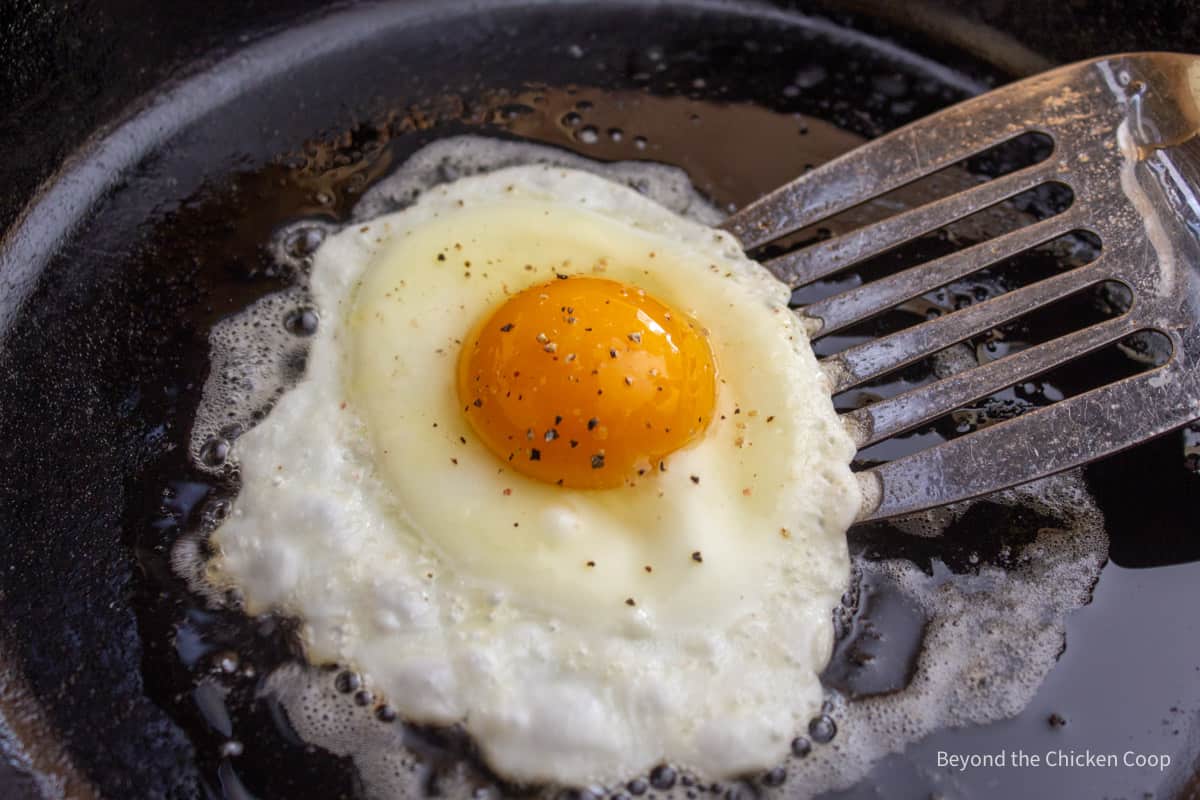 Flipping a fried egg.