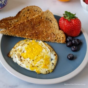 A fully cooked fried egg.