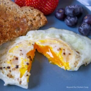 A fried egg cut in half.