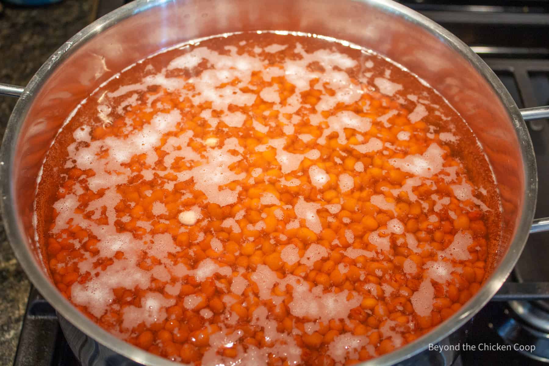 Cooking beans in a pot.