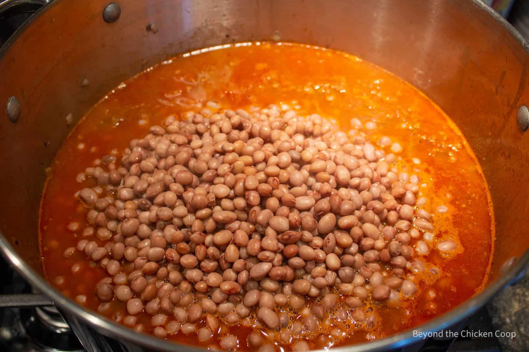 Pinquito beans added to chili.